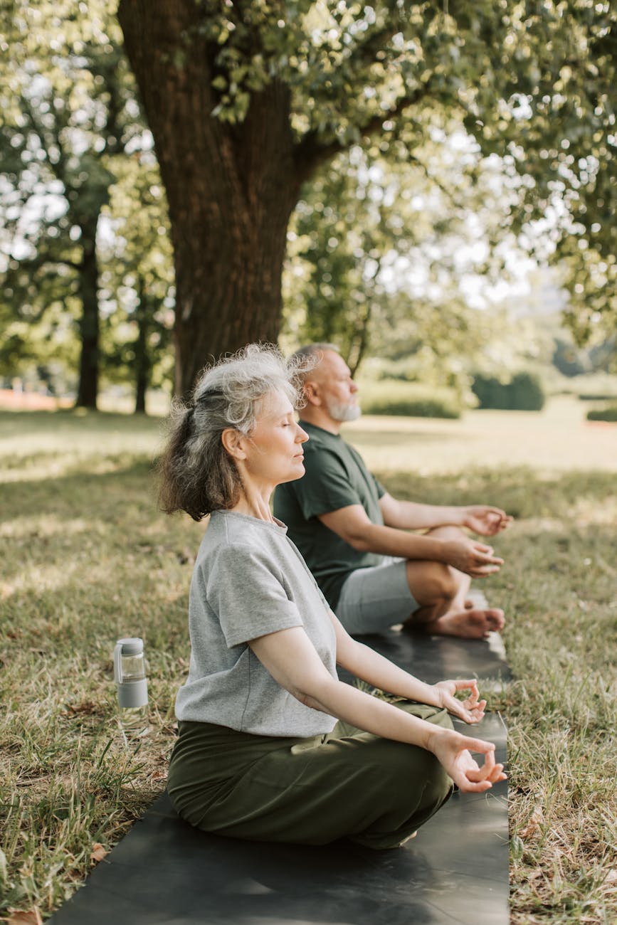 elderly people meditating in the park
